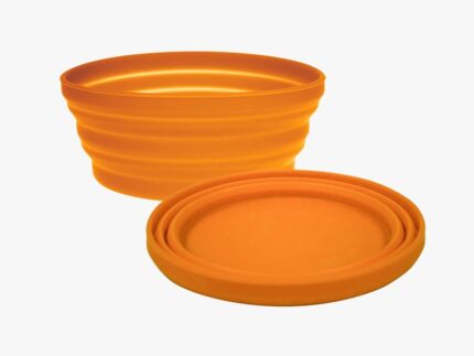 Eames plastic side chair